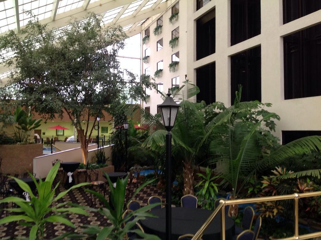 Wyndham Garden Amarillo Ξενοδοχείο Εξωτερικό φωτογραφία